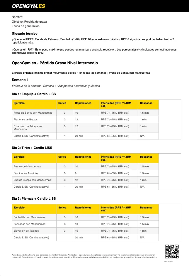 Tabla de ejercicios en el PDF del plan